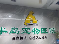 -半岛宠物医院24小时(白果林店)