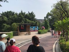 -金鸡山公园