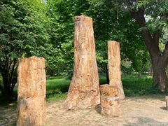 -国家植物园南园