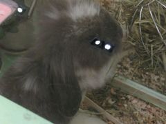 -龙猫仔乐园(惠福东路店)