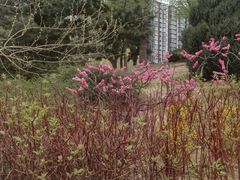 景点-望湖公园