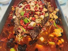 -来相会饺子·新辽菜(甘家口店)