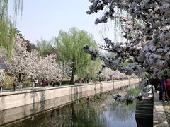 -元大都城垣遗址公园