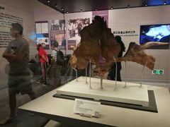 -北京周口店北京人遗址博物馆