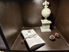 -雪灵魔法世界SHELLY’S TAROT(大良桂畔里店)