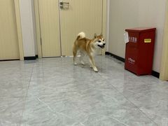 -安安宠医·臻爱宠物医院·宠保定点(营门口路分院)