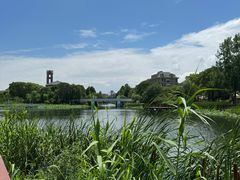 -新江湾城公园