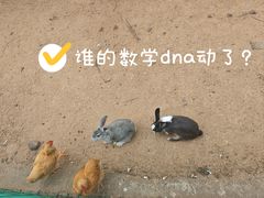 -三水森林公园