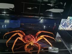 -同济大学四平路校区深海探索馆