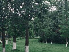 -青龙湖公园