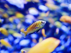 -成都浩海立方海洋公园