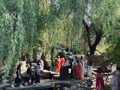 -西安青龙寺遗址景区