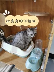 -港美国际