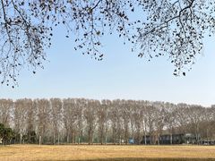 -河南省黄河迎宾馆