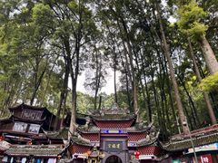-青城山