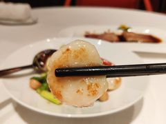 高山芦笋炒澳带-东富酒家(龙湖西溪天街店)