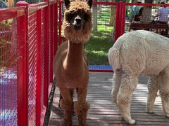 -水上乐园·欢乐世界