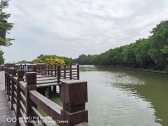 -大湾区中央湿地公园