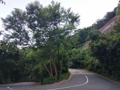 -东部华侨城