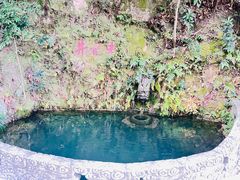 -十八棵（老龙井）御茶园(老龙井店)