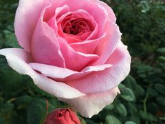 -人民公园(罗湖区)