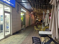 -油梨树AVOCADO TREE(顺义新国展店)