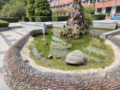 -华中科技大学同济医学院附属同济医院(汉口院区)