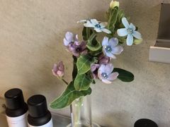 -泰合玺·精油疗愈 SPA(南京河西万达店)