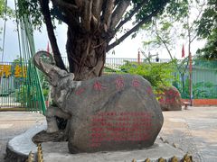 -一寨两国风景区