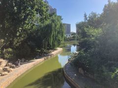 -团结湖公园