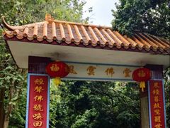 -风云岭森林公园