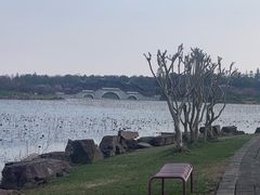 -上海海湾国家森林公园