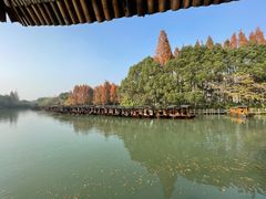 -乌镇西栅景区