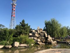 -羊亭河湿地公园