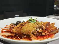 -南堂馆·新川菜(春熙路店)