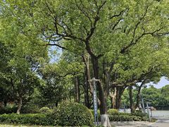 -MOMENT湖景餐厅(解放路店)