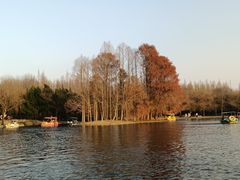 -共青国家森林公园-售票处