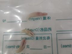 -乐琪宠物医院·犬猫专科·骨外科·急重症