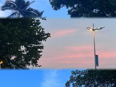 -南国桃园旅游度假区