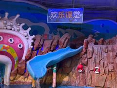 -烟台海昌鲸鲨海洋公园