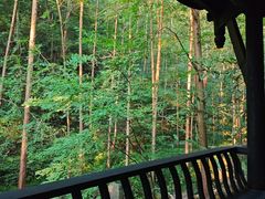 -青城山