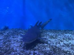 -正佳极地海洋世界