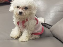 -西安市未央区汉城畜牧兽医站