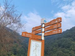 -西湖风景区十里琅珰-五云山