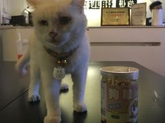 -Doors独立剧情密室(东门分店)