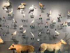 -中国湿地博物馆