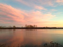 -Steveston Pizza Company (Richmond)