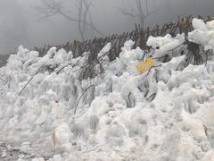 -秦岭终南山世界地质公园翠华山景区