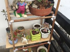 -浔岚云舍mist静谧观景美宿(丽江古城店)