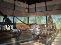 -湖南省地质博物馆